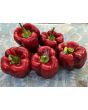 Sweet Pepper ‘Zulu' Seeds