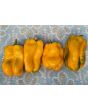 Sweet Pepper 'Yellow Monster' Seeds