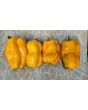 Sweet Pepper 'Yellow Monster' Seeds