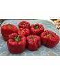 Sweet Pepper ‘Red Bell’ Seeds