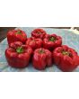 Sweet Pepper ‘Red Bell’ Seeds