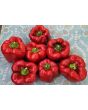 Sweet Pepper ‘Red Bell’ Seeds