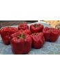 Sweet Pepper ‘Red Bell’ Seeds