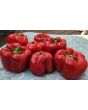 Sweet Pepper ‘Red Bell’ Seeds