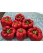Sweet Pepper ‘Red Bell’ Seeds