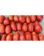 Tomato 'San Marzano' Seeds