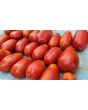 Tomato 'San Marzano' Seeds