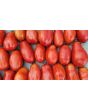Tomato 'San Marzano' Seeds