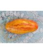 Tomato 'Casady's Folly' Seeds (Certified Organic) 
