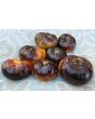 Tomato 'Lucid Gem' Seeds