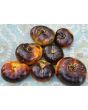 Tomato 'Lucid Gem' Seeds