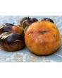 Tomato 'Lucid Gem' Seeds