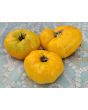 Tomato 'Three Fat Men Yellow' Seeds