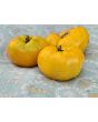 Tomato 'Three Fat Men Yellow' Seeds