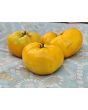 Tomato 'Three Fat Men Yellow' Seeds
