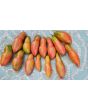 Tomato 'Pink Fang' Seeds (Certified Organic)