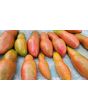 Tomato 'Pink Fang' Seeds (Certified Organic)
