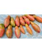 Tomato 'Pink Fang' Seeds (Certified Organic)