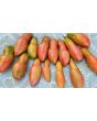 Tomato 'Pink Fang' Seeds (Certified Organic)