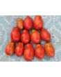 Dwarf Tomato 'San Marzano' Seeds (Certified Organic)