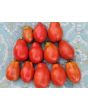 Dwarf Tomato 'San Marzano' Seeds (Certified Organic)