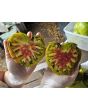 Tomato 'Harvard Square' Seeds