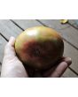 Tomato 'Sara Black' Seeds (Certified Organic)