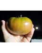 Tomato 'Sara Black' Seeds (Certified Organic)