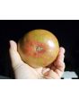 Tomato 'Sara Black' Seeds (Certified Organic)