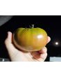 Tomato 'Sara Black' Seeds (Certified Organic)
