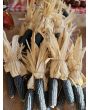 'Melinda's Mini Blue Popcorn' Corn Seeds