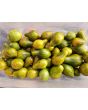 Tomato 'Mint Julep' AKA ‘Michael Pollan’ Seeds