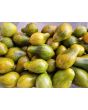 Tomato 'Mint Julep' AKA ‘Michael Pollan’ Seeds