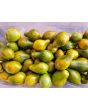 Tomato 'Mint Julep' AKA ‘Michael Pollan’ Seeds
