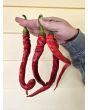 Sweet Pepper 'Corbaci' Seeds