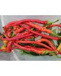 Sweet Pepper 'Corbaci' Seeds