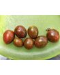 Tomato 'Chocolate Sprinkles F2' Seeds
