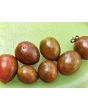 Tomato 'Chocolate Sprinkles F2' Seeds