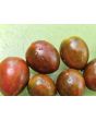 Tomato 'Chocolate Sprinkles F2' Seeds