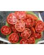 Tomato 'Pete's Italian Paste' Seeds