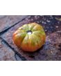 Tomato 'Bali' Seeds