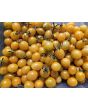 Tomato 'Galapagos Island' Seeds