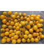 Tomato 'Galapagos Island' Seeds