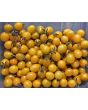 Tomato 'Galapagos Island' Seeds