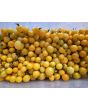 Tomato 'Medium Yellow Cherry Detroit' Seeds