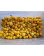 Tomato 'Medium Yellow Cherry Detroit' Seeds