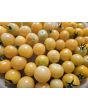 Tomato 'Medium Yellow Cherry Detroit' Seeds