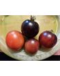 Tomato 'Blue Pizzo' Seeds