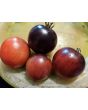 Tomato 'Blue Pizzo' Seeds