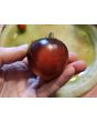 Tomato 'Blue Pizzo' Seeds
